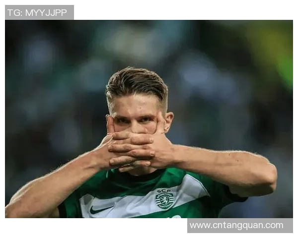 2022德国足球明星风采回顾与未来展望分析 2022德国足球明星风采回顾与未来展望分析