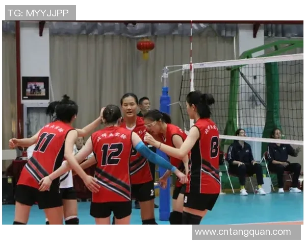 北京排球队逆袭之路：从低谷到巅峰的荣耀之战